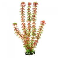Barbus Растение пластиковое Кабомба красная Plant 033 30см