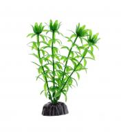 Barbus растение пластиковое Элодея plant 004 10см