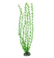 Barbus Растение пластиковое Бакопа зеленая Plant 010 50см