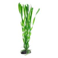 Barbus Растение пластиковое Валлиснерия спиральная Plant 014 30см