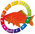 Витамины для рыб Витамины для рыб