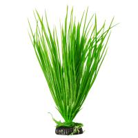 Barbus Растение пластиковое Акорус Plant 007 20см