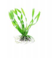 Barbus Растение пластиковое Валлиснерия спиральная Plant 014 10см