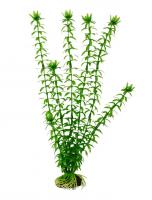 Barbus растение пластиковое Элодея plant 004 30см