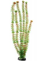 Barbus Растение пластиковое Кабомба красная Plant 033 50см