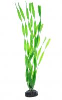 Barbus растение пластиковое Валлиснерия широколистная plant 005 50см