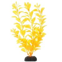 Barbus Растение пластиковое Людвигия ярко-желтая Plant 012 30см
