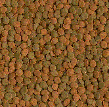 Корм для рыб TetraWafer Mix развесной 50 гр.