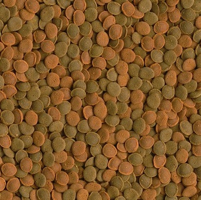Tetra WaferMix 15г (пакетик) - корм для донных рыб и ракообразных