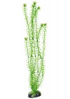 Barbus растение пластиковое Элодея plant 004 50см
