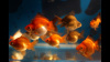 Риукин красный короткохвостый (Goldfish Ryukin red short tail)