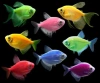 Тернеция Glo Fish ассорти (Gymnocorymbus ternetzi)  1,5-2 см