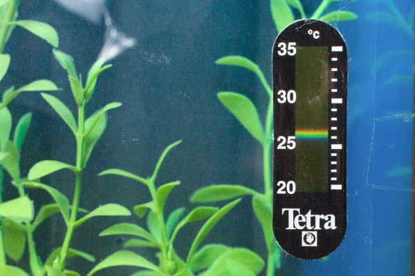 Tetra TH 30 Термометр наклейка жидкокристалический