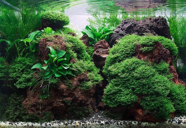 Лава вулканическая натуральная 1 кг