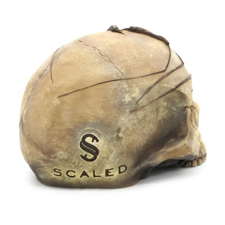 Укрытие из искусственного камня Scaled Skull Shelter 12 см череп