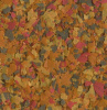 Tetra Rubin Flakes 12г (пакетик)- корм для усиления естественной окраски рыб (хлопья)