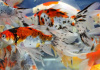 Золотая рыбка Шубункин ситцевый( Goldfish Shubunkin calico)