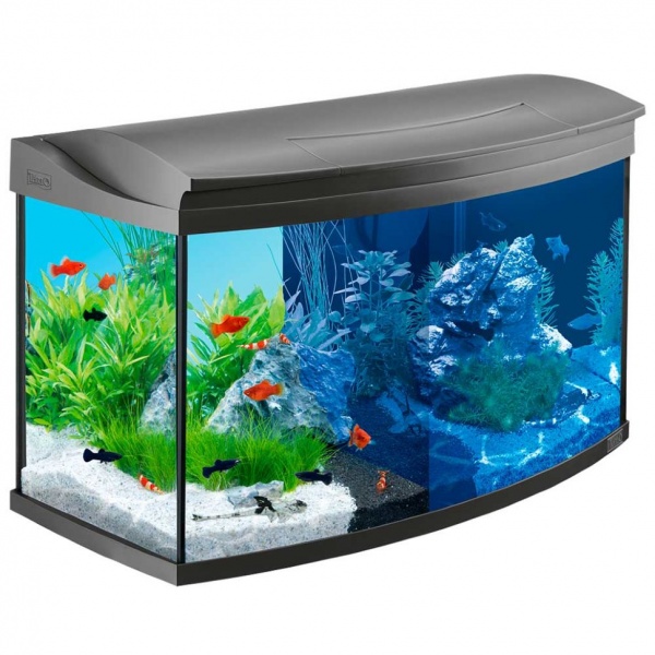 Аквариум панорамный с тумбой Tetra Evolution Line (100 литров)