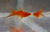Меченосец Геллера красный лирохвостый (Xiphophorus helleri Red Lyretail)