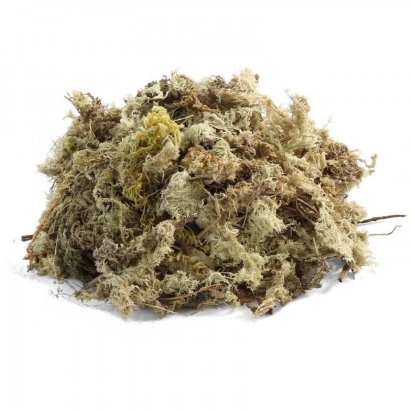 Repti Zoo Мох сфагнум ReptiMoss, брикет, 100 г