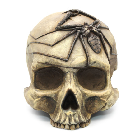 Укрытие из искусственного камня Scaled Skull Shelter 12 см череп